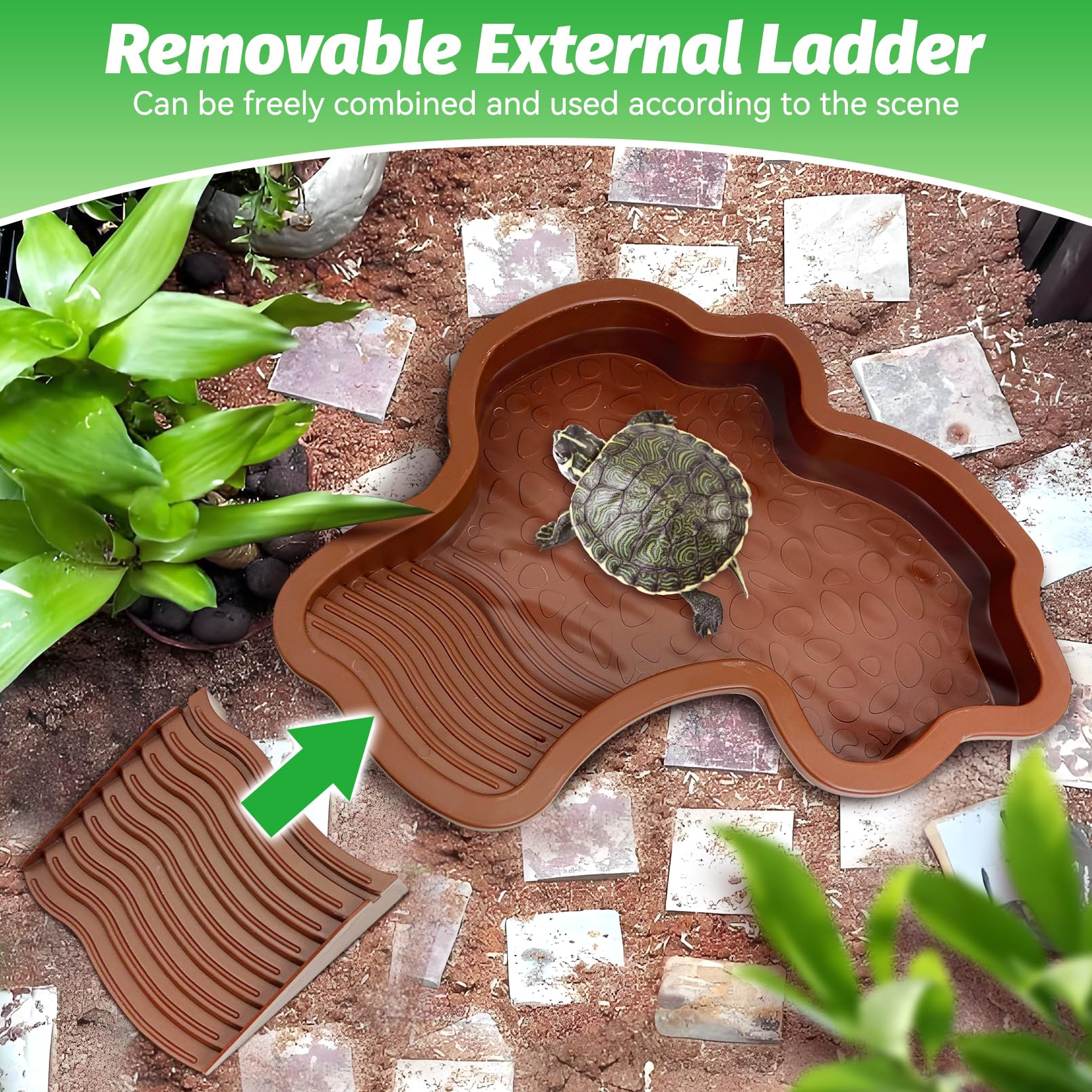 PINVNBY small leaf-shaped food dish ideal for compact habitats