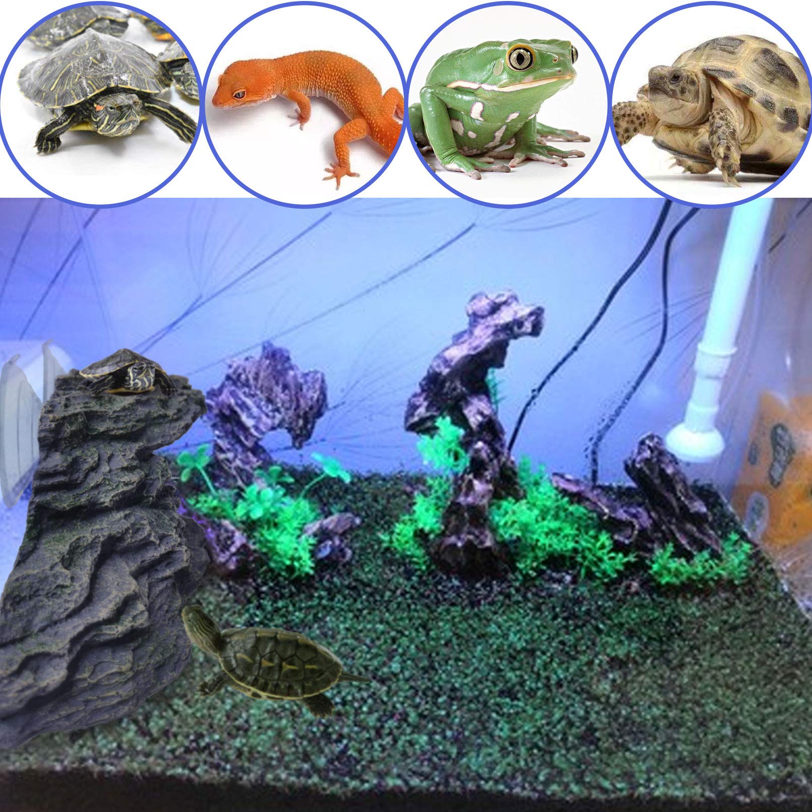 PINVNBY medium basking platform compact design suitable for small reptiles and terrariums.