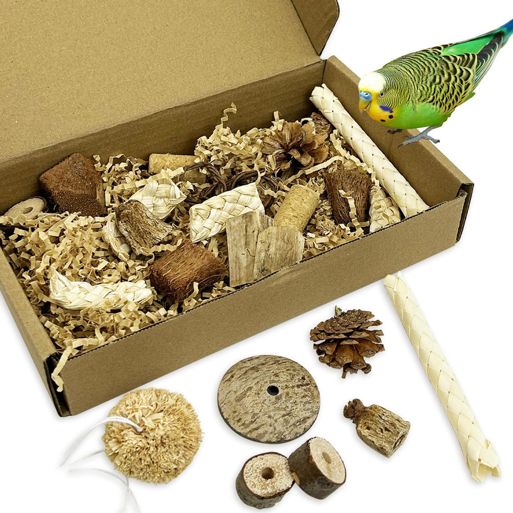 PINVNBY natural bird toys foraging box contents show safe materials for engaging foraging play.