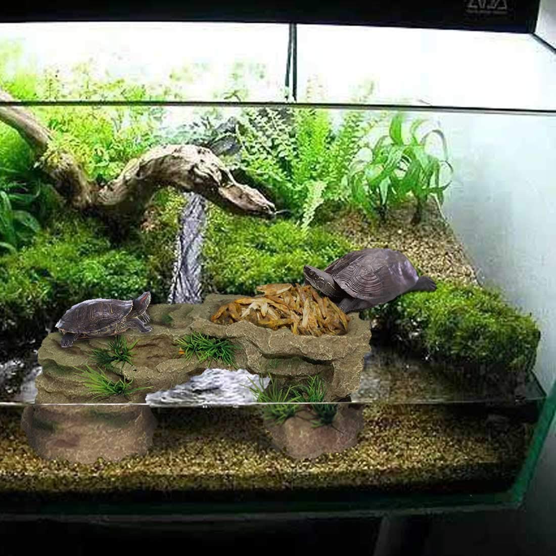 PINVNBY natural rock design detail adds realistic habitat aesthetics