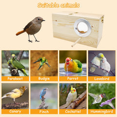 PINVNBY natural wood parakeet nesting box inside-view demonstrates spacious inner area for bedding.