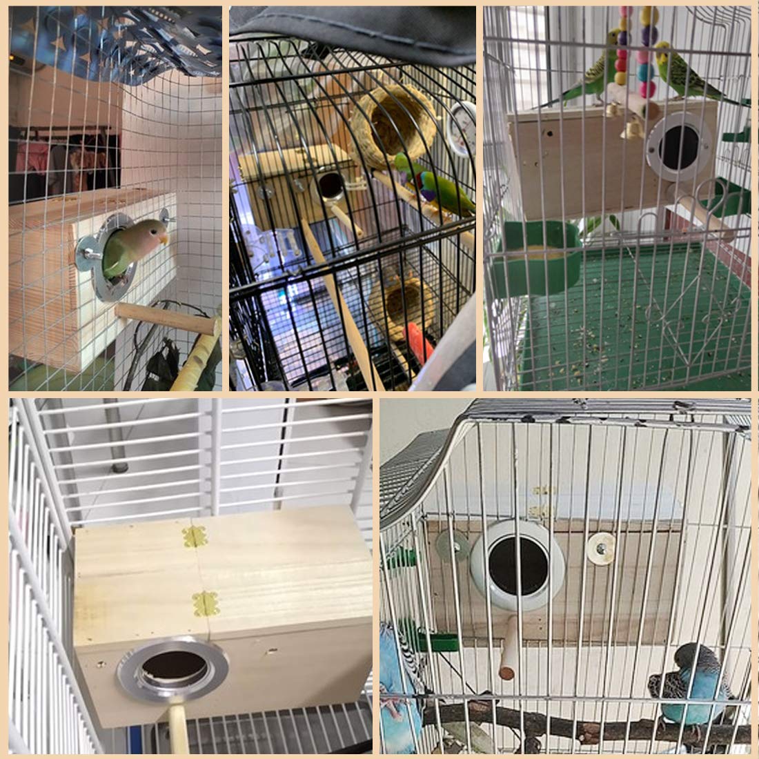 PINVNBY parakeet nesting box arc design for stability and shelter