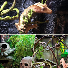 PINVNBY enredaderas para terrario, hábitat seguro y visualmente atractivo.