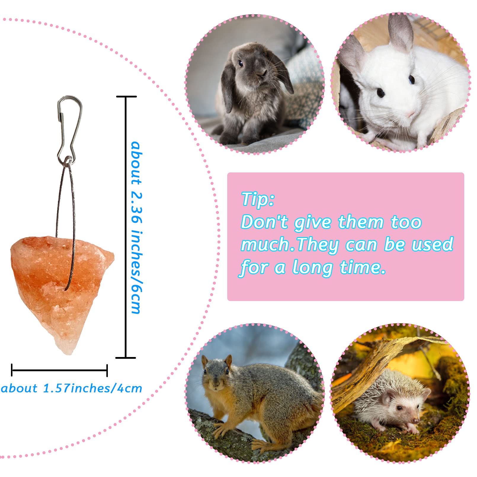 PINVNBY close-up reveals natural minerals like calcium and zinc for pet health