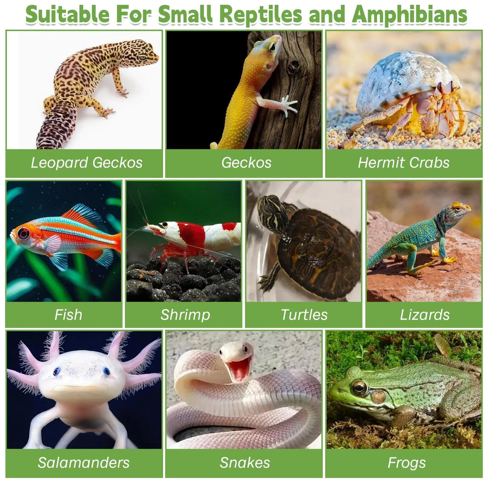 PINVNBY Reptile Hide Resin Turtles Dock fits compact terrariums and small tanks