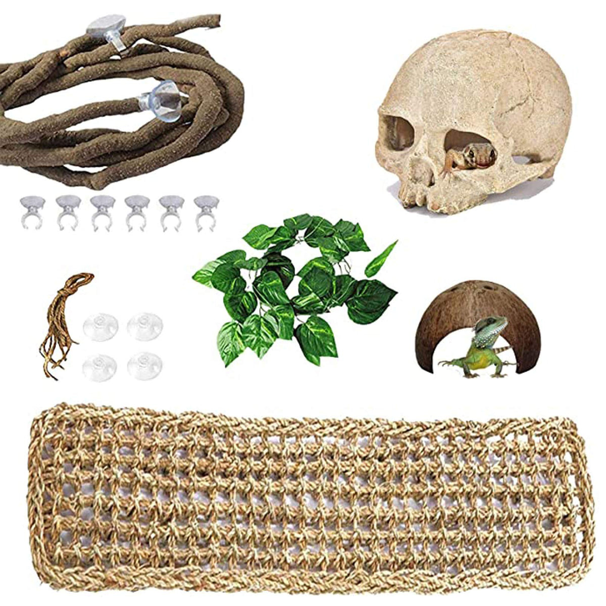 PINVNBY resin human skull habitat decor showcasing lifelike details and hiding opportunities for reptiles.
