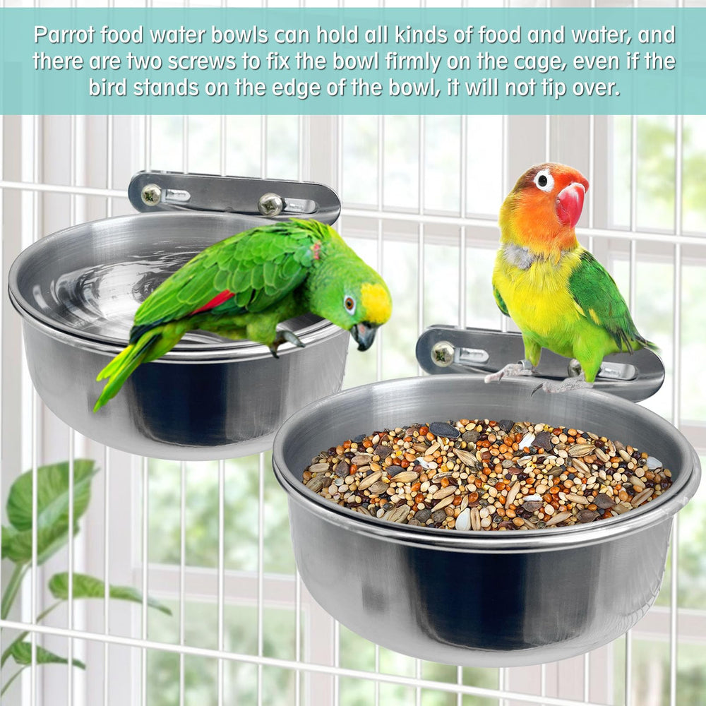 PINVNBY size M bowl demonstrates medium capacity for mid-sized birds.