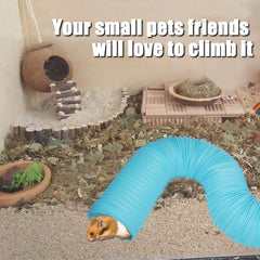 PINVNBY small animals toys package displays diverse chew toys and stimulation options