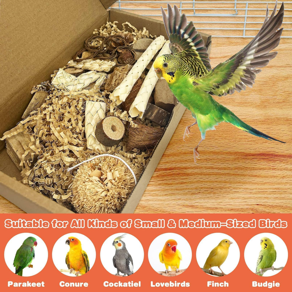 PINVNBY small-bird setup dimensions—fits small to medium parrots foraging play.