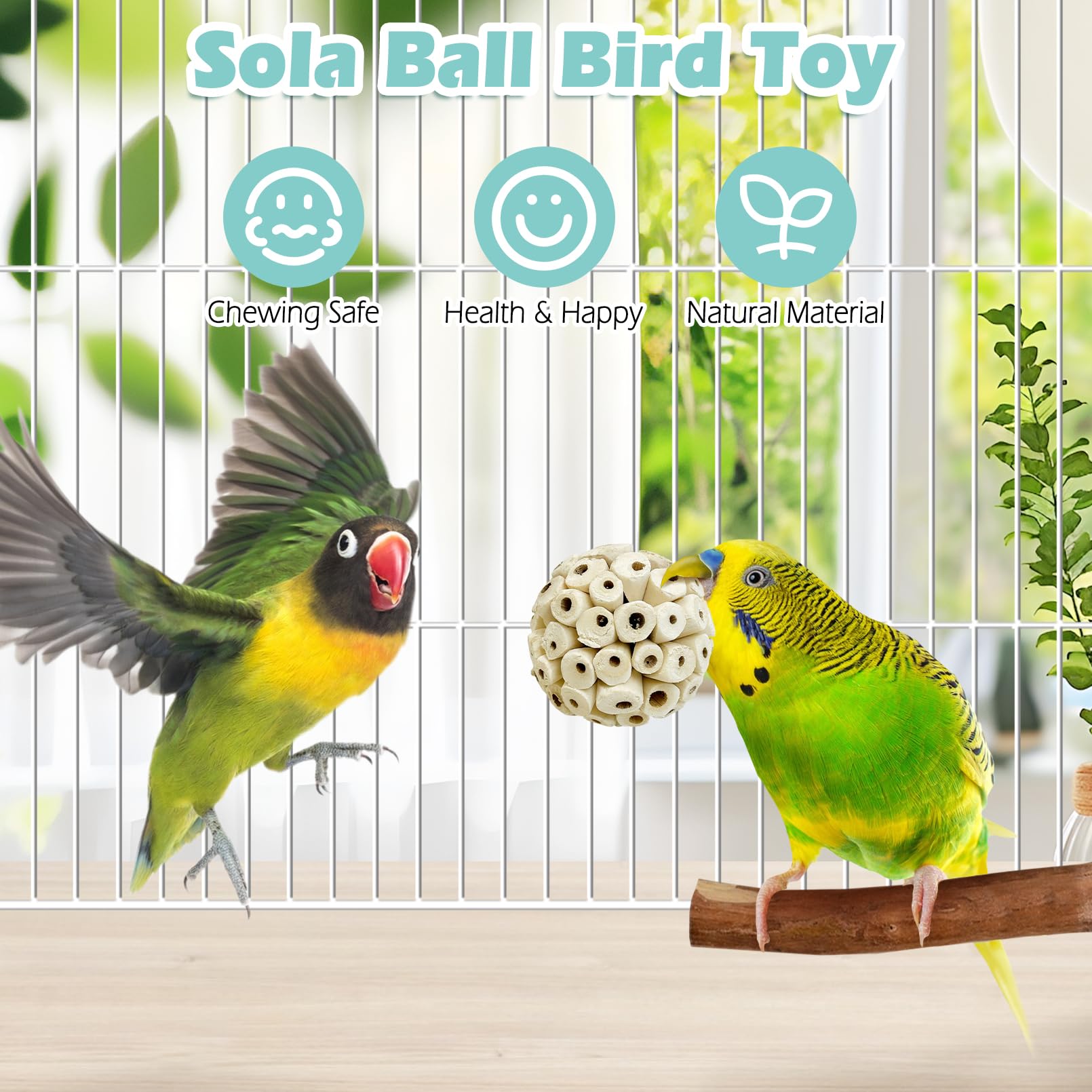 PINVNBY Sola balls encourage beak exercise and mental stimulation