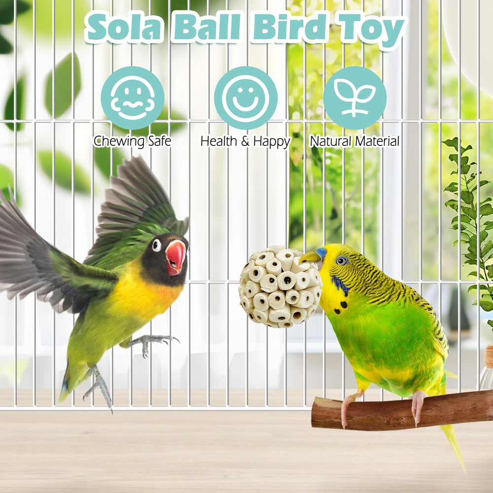 PINVNBY Sola balls encourage beak exercise and mental stimulation