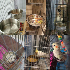PINVNBY stainless steel bird bowls close-up showing durable, rust-resistant material