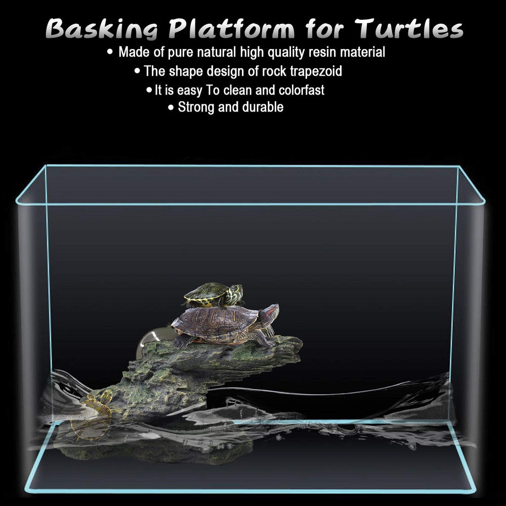 PINVNBY suction cups turtle dock secure attachment keeps platform steady.