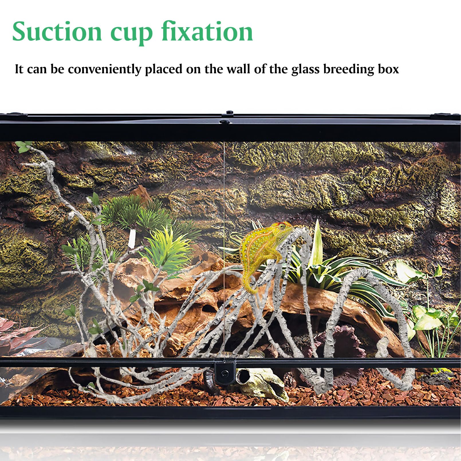 PINVNBY suction-cup installation keeps vines secure in humid tanks.