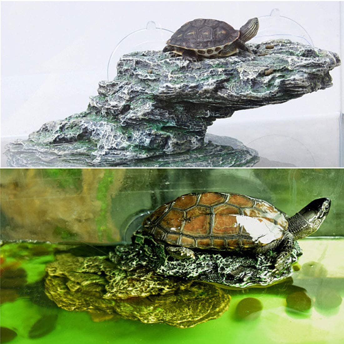 PINVNBY three-size-options lets you pick the right scale for your pet's enclosure.
