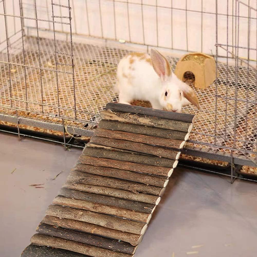 PINVNBY versatile ramp serving as house, tunnel, and chew toy