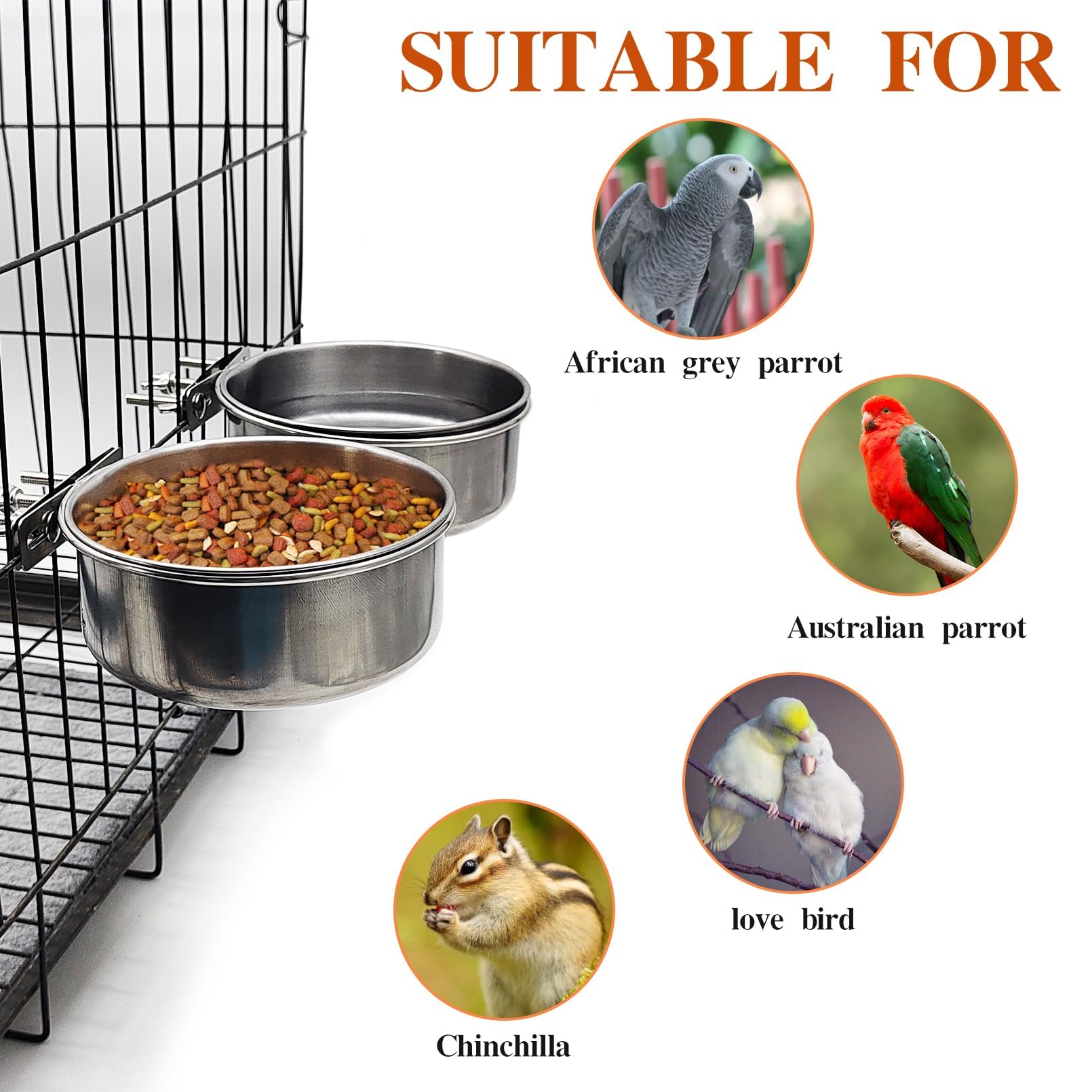 PINVNBY xl bird bowl dimensions 6.3x6.3x2.4 inches fits large cages securely
