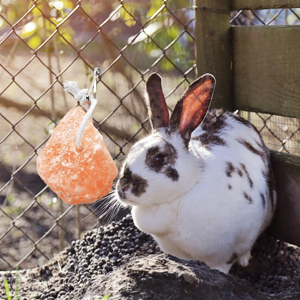 PINVNBY hanging salt block in cage for enrichment and access