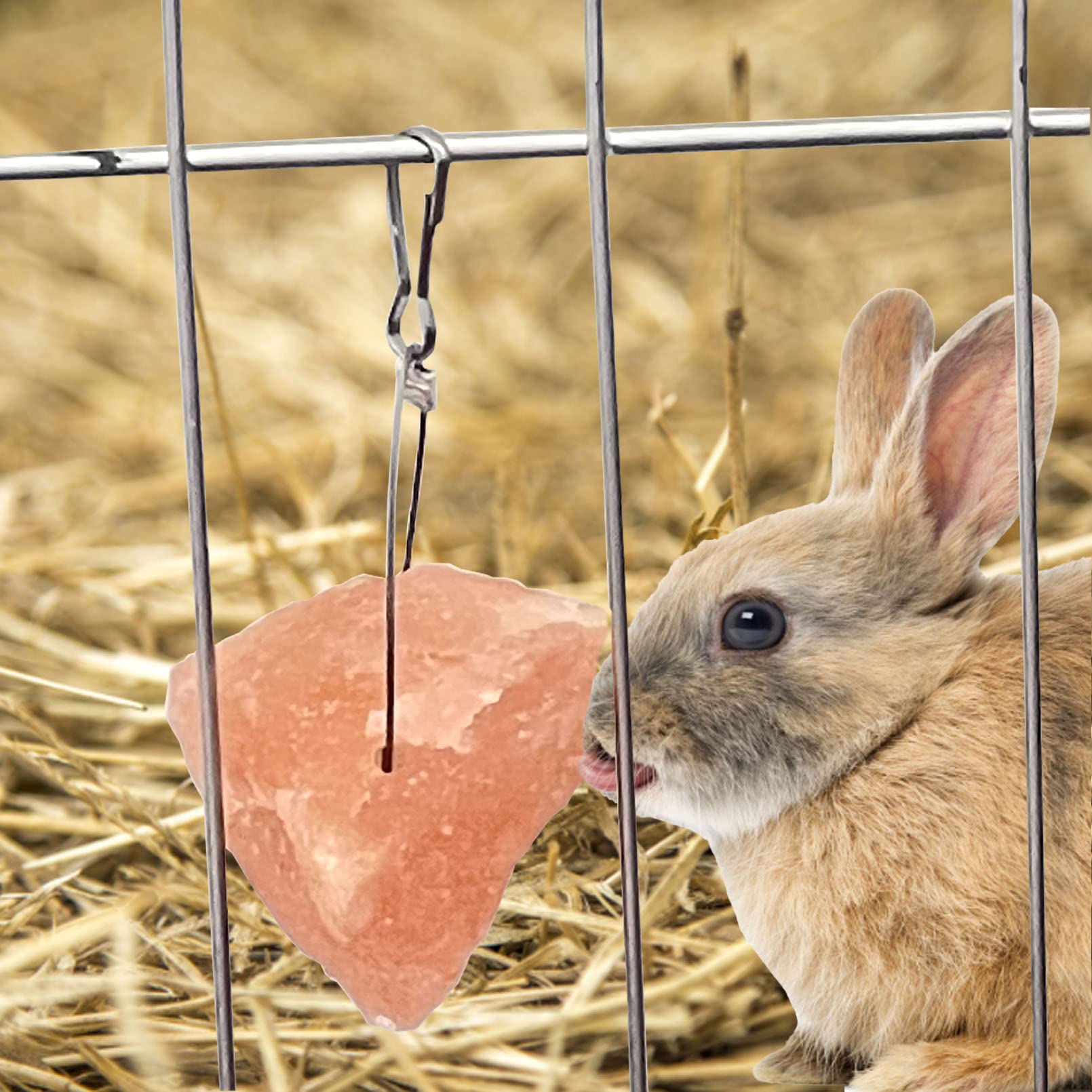 PINVNBY rabbits chew toy salt block for safe Himalayan mineral chew