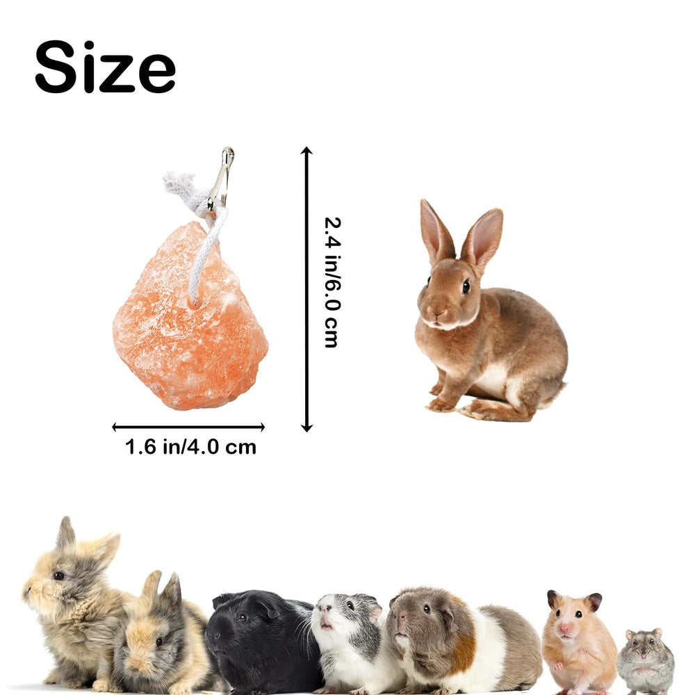 PINVNBY small pets lick block design highlighting durable enrichment