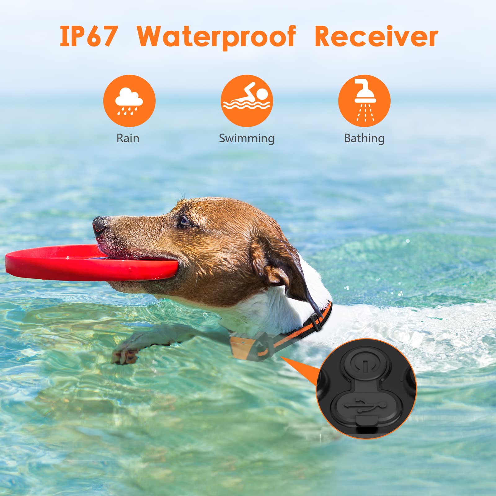 PIOUNS remote with 1000 ft range enables versatile training outdoors