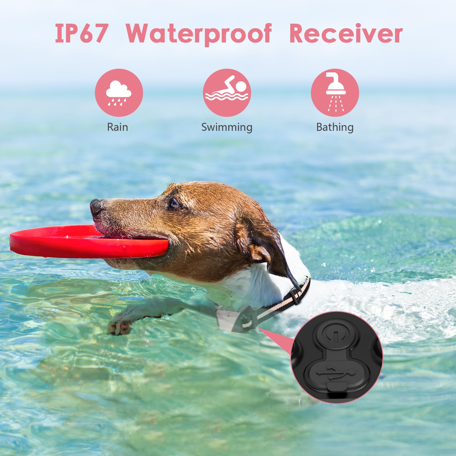 PIOUNS shock collar with short and long probes for different coat lengths