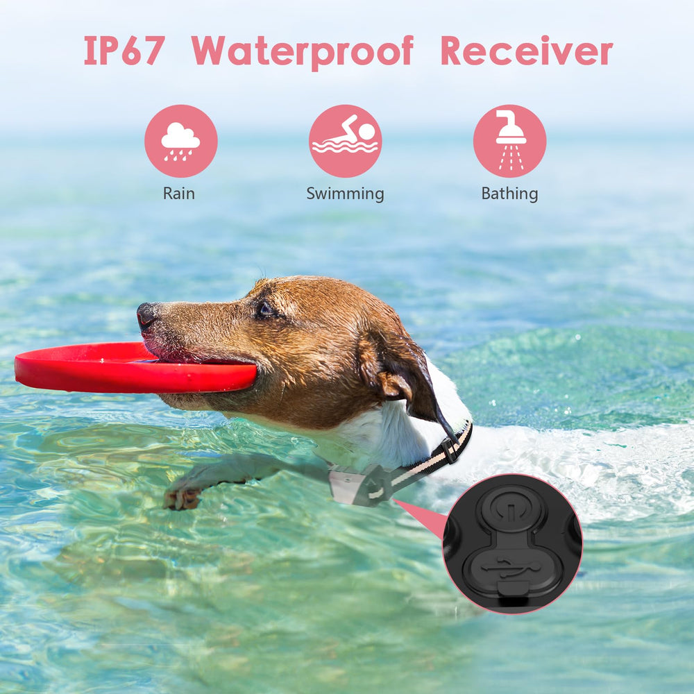 PIOUNS shock collar with short and long probes for different coat lengths