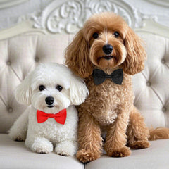 Piriuuo adjustable buckle bow tie on a dog neck for a comfy fit