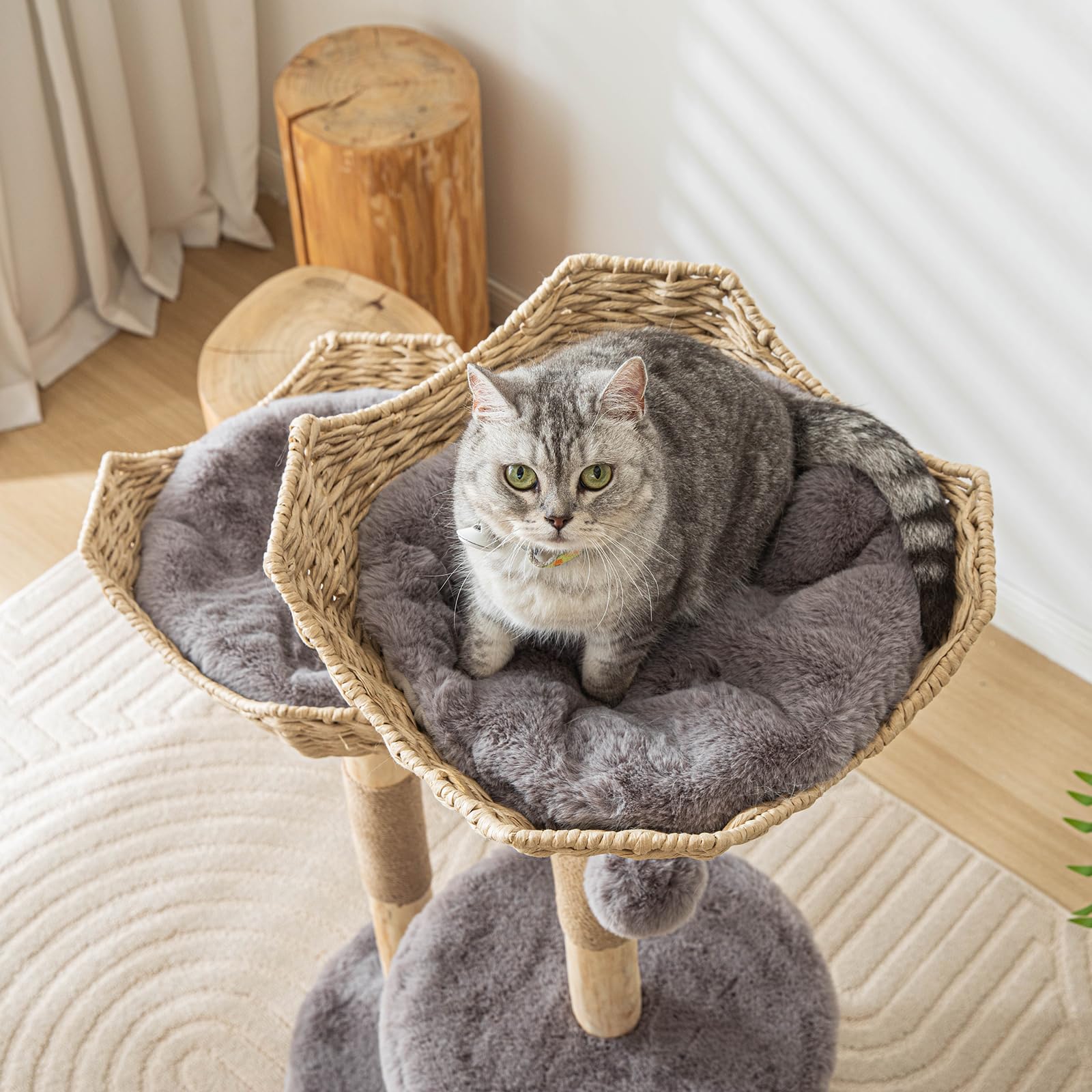 PISARRY cat tree offers perching platforms and sisal posts for scratching
