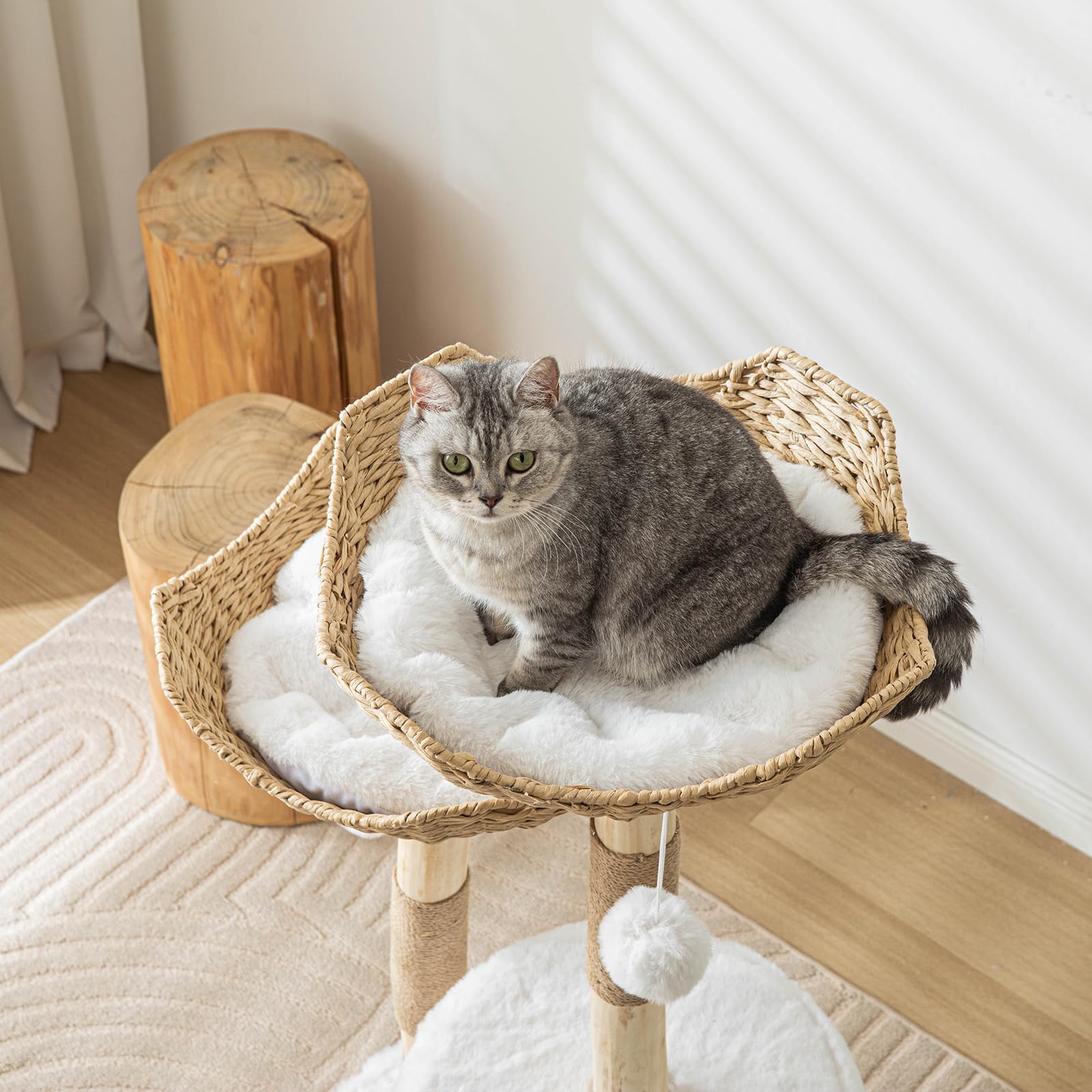 PISARRY Cat Tree Tower sisal posts invite scratching and exercise.