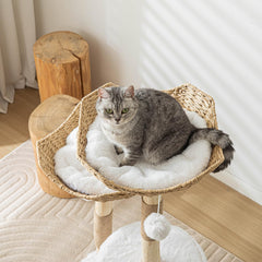 PISARRY Cat Tree Tower sisal posts invite scratching and exercise.