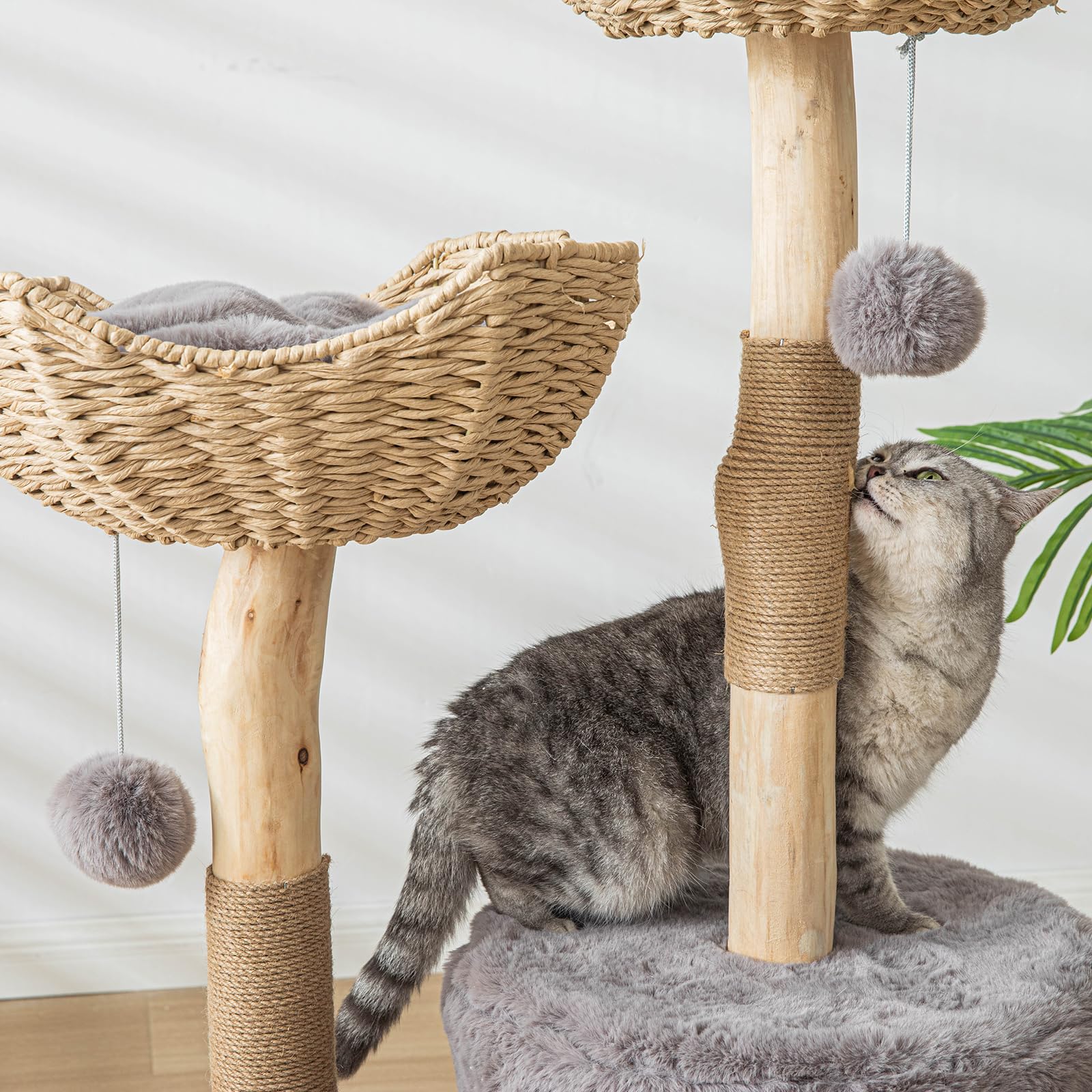 PISARRY luxury condo with cushions gives cats a private resting spot