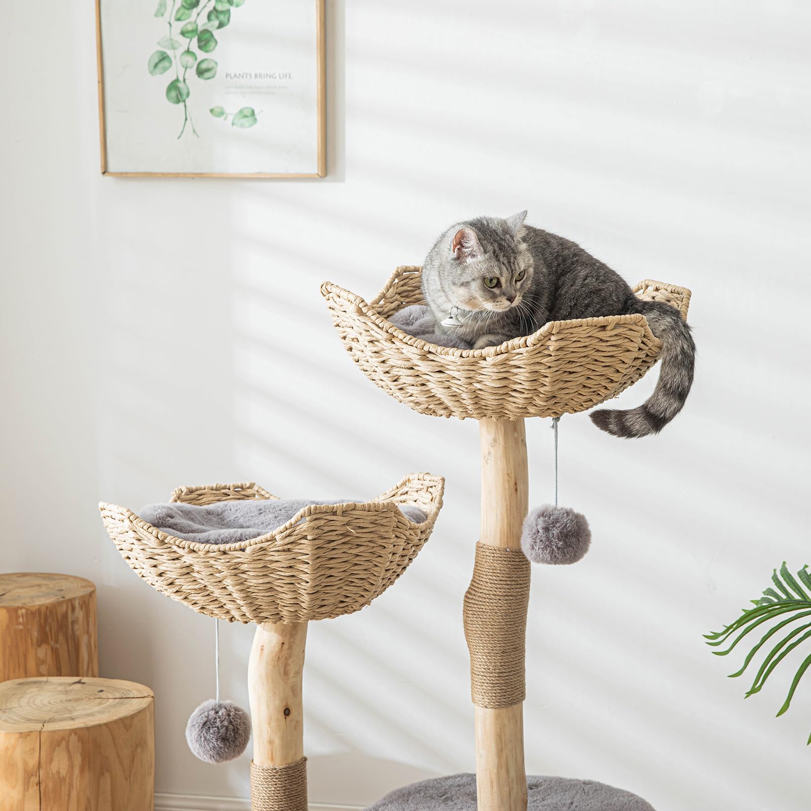 PISARRY solid wood base ensures stable footing during active climbing adventures