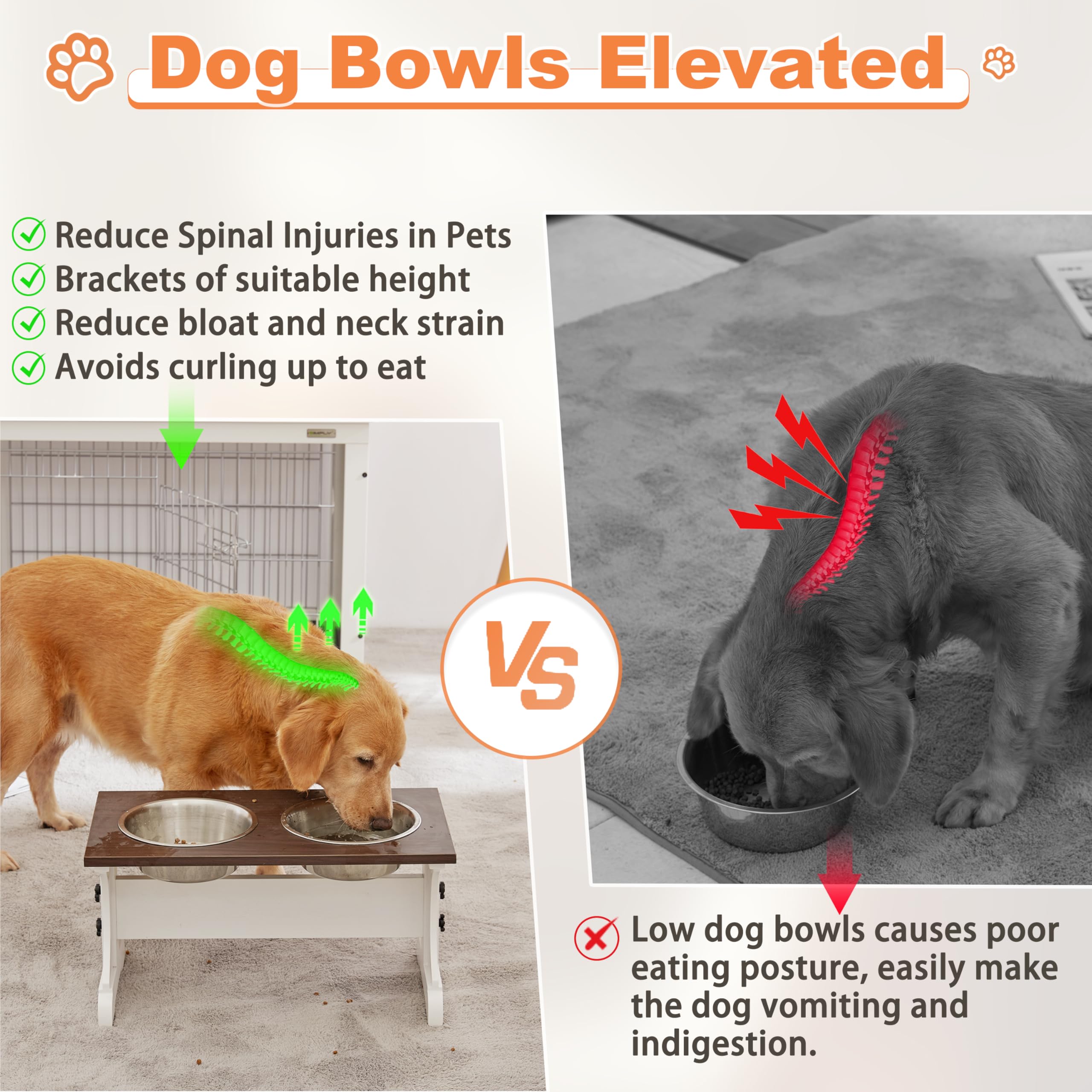 Piskyet raised dog bowls with stainless steel bowls show easy cleaning and durability