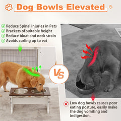 Piskyet raised dog bowls with stainless steel bowls show easy cleaning and durability