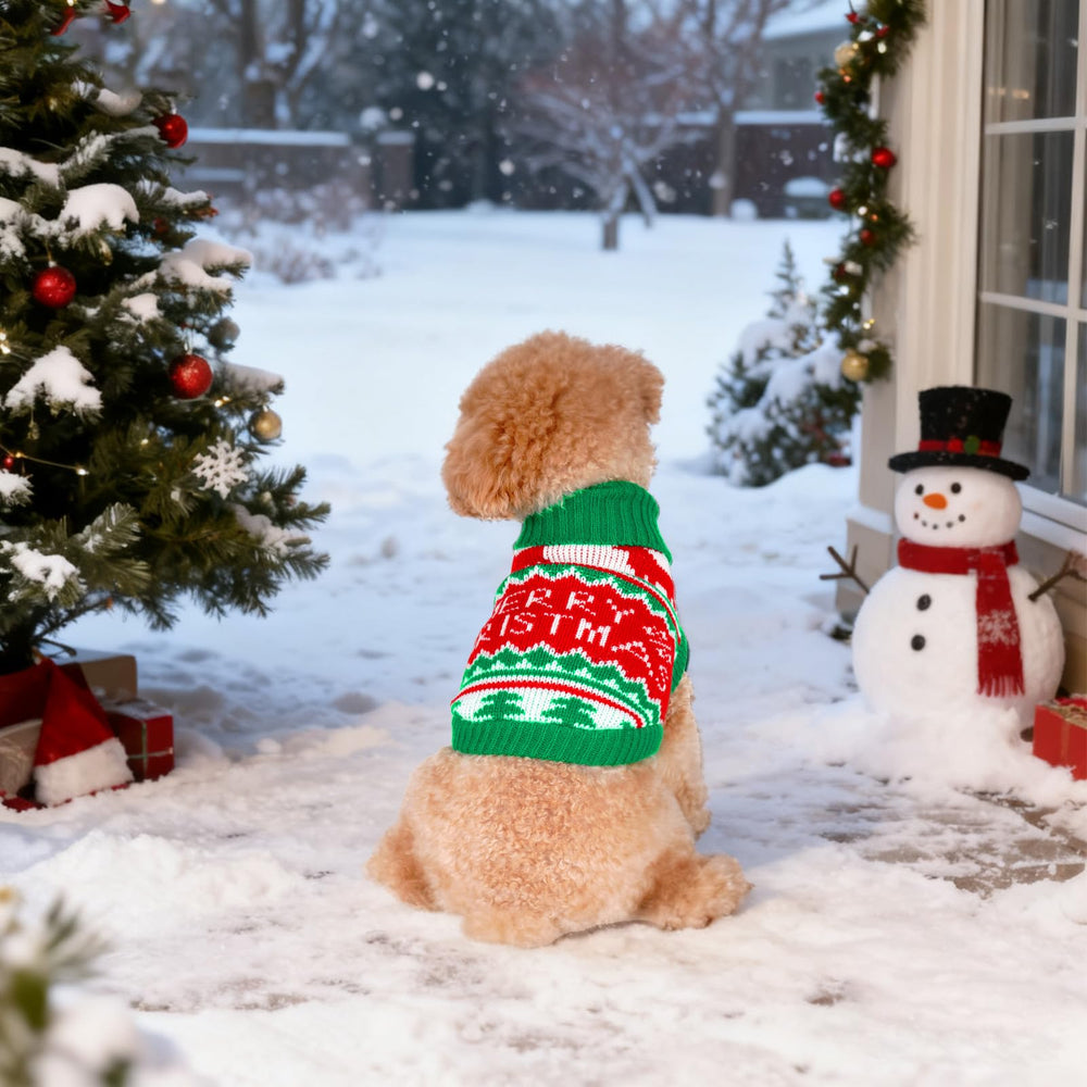 Pistha cat in sweater highlights versatile sizing for pets.
