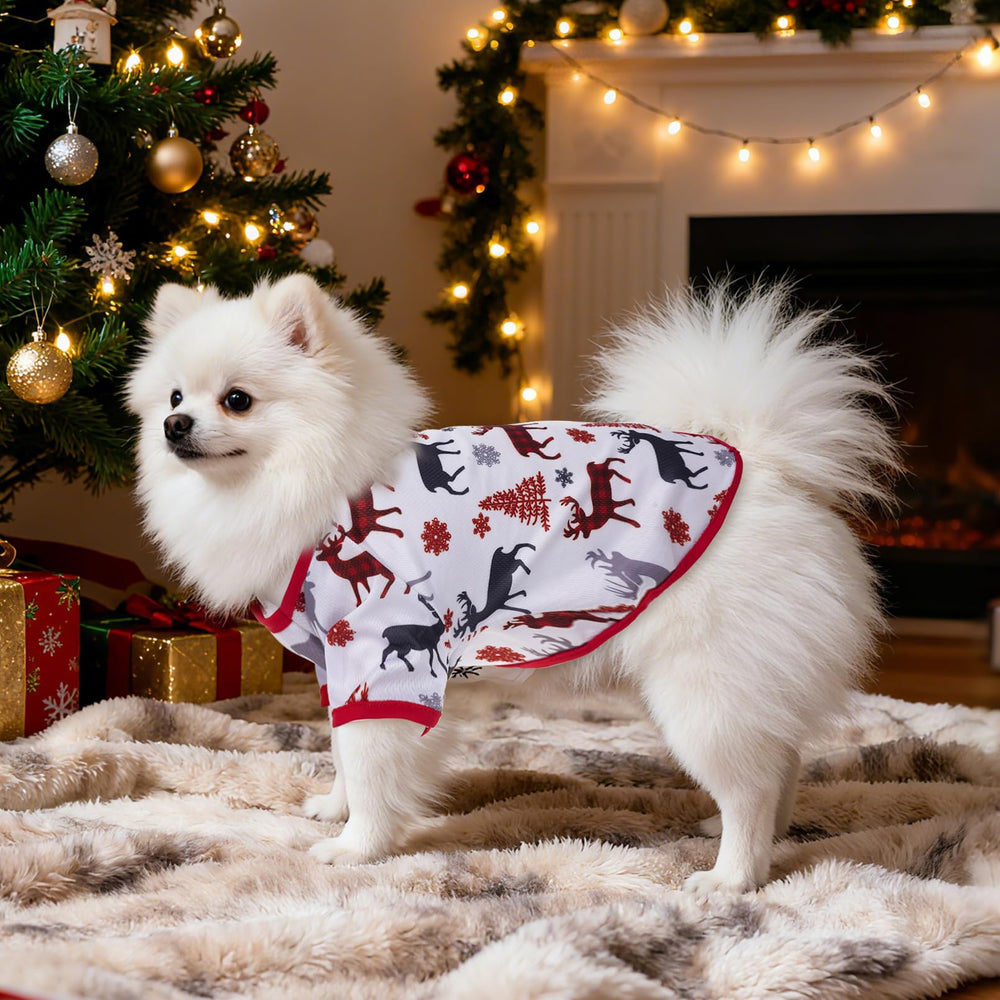 Pistha Christmas dog shirt snow globe pattern for cozy holiday moments.