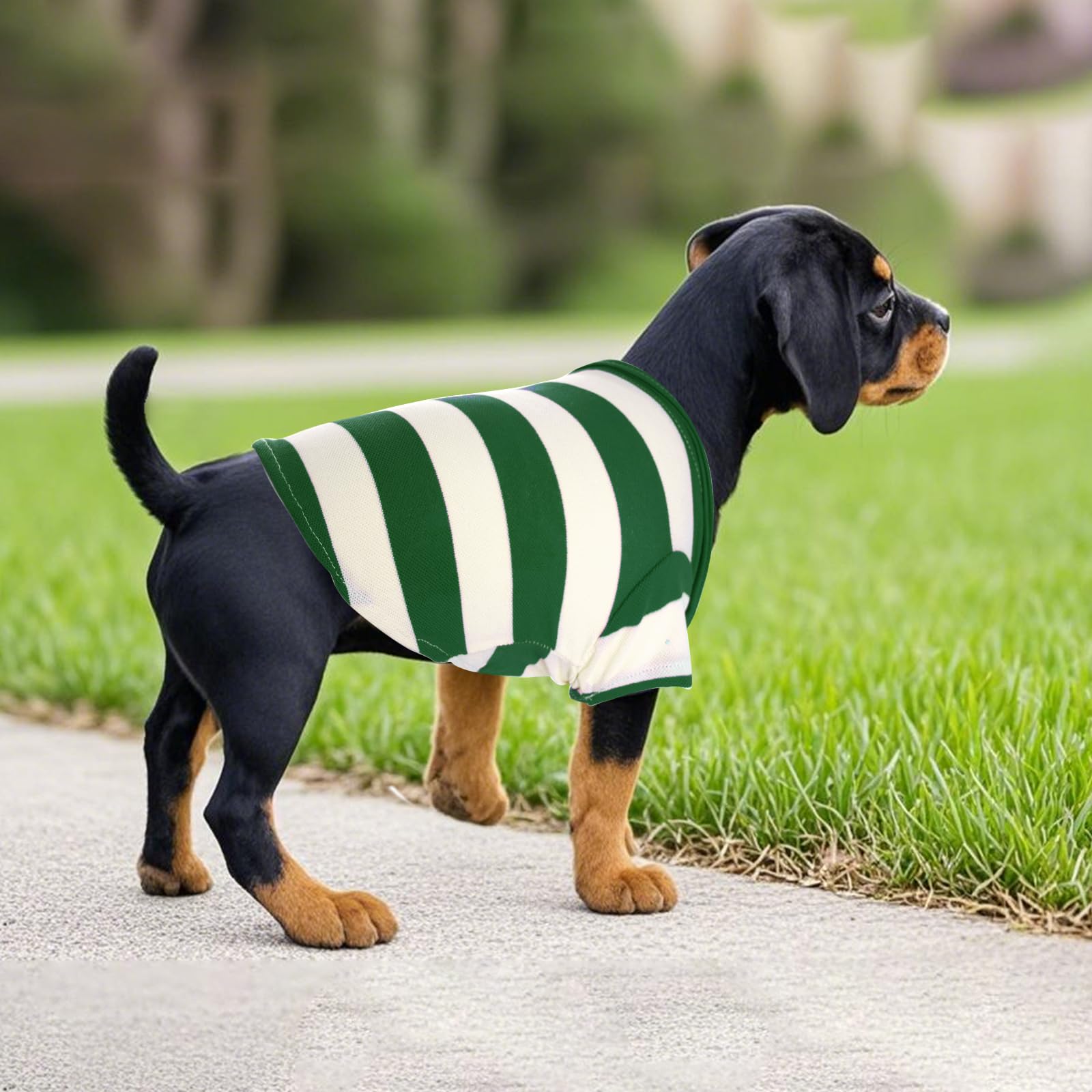 Pistha dog shirt polo striped green white packaging image suggests ready-to-gift pet apparel