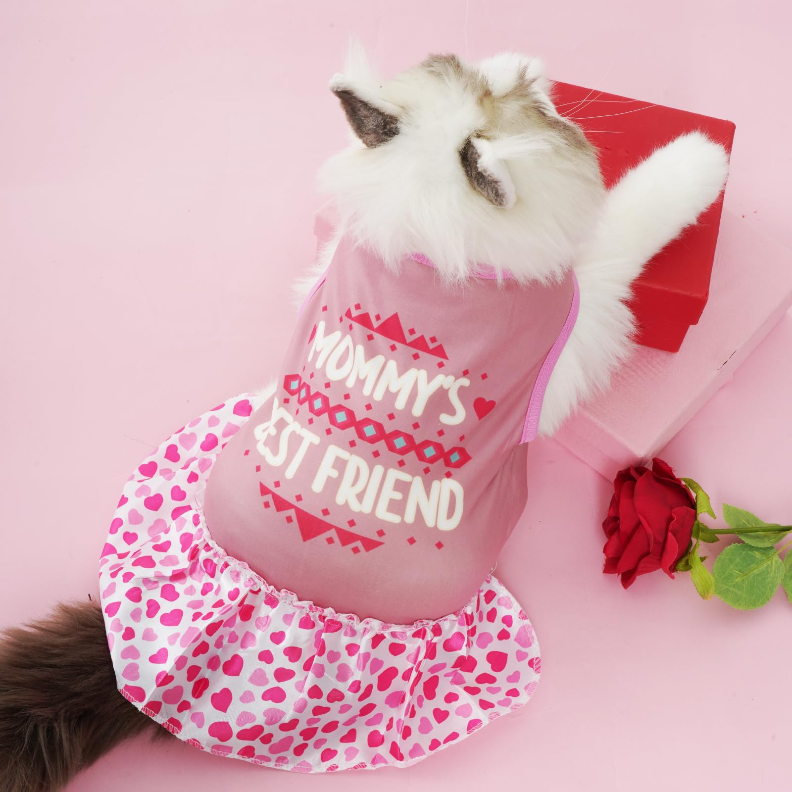 Pistha dress soft-fabric closeup highlights lightweight, comfy material for pets.