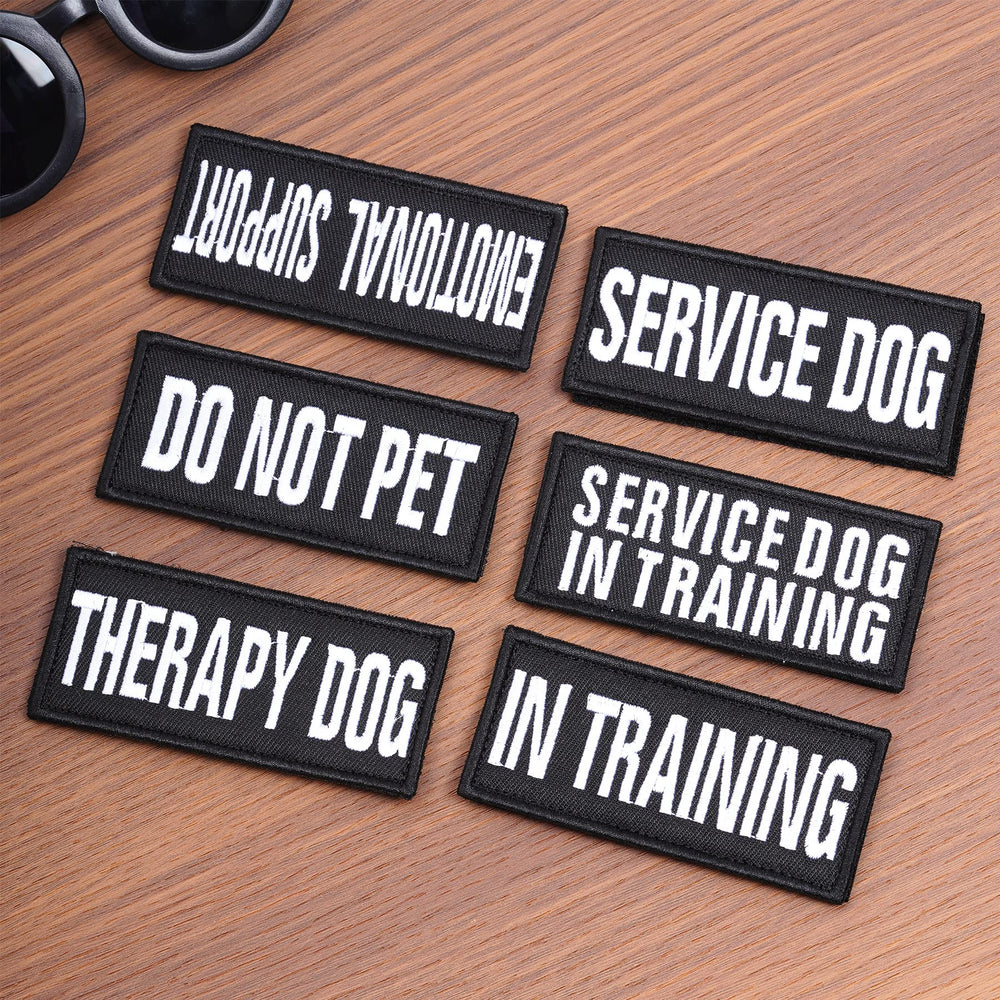 Pistha emotional-support patch signals supportive roles on gear