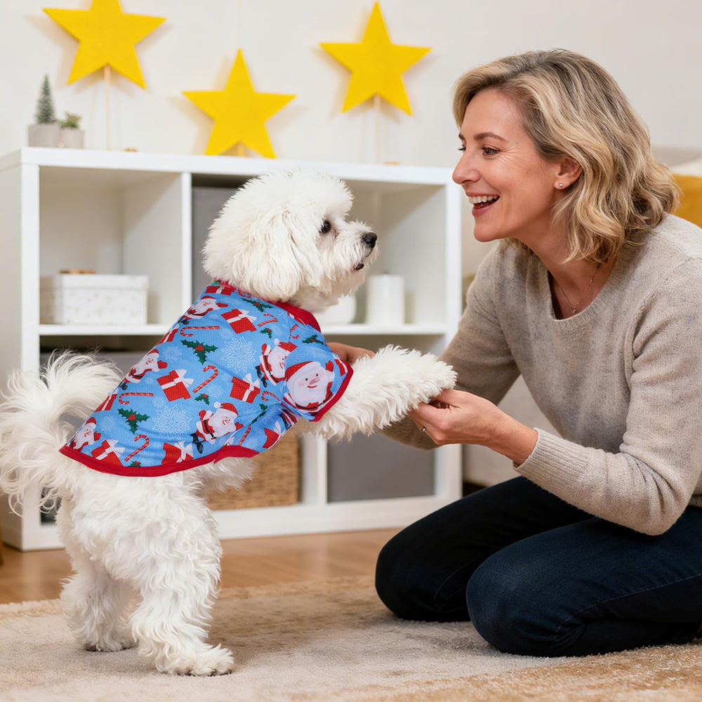 Pistha four-pack Christmas shirts offering versatile holiday styling.