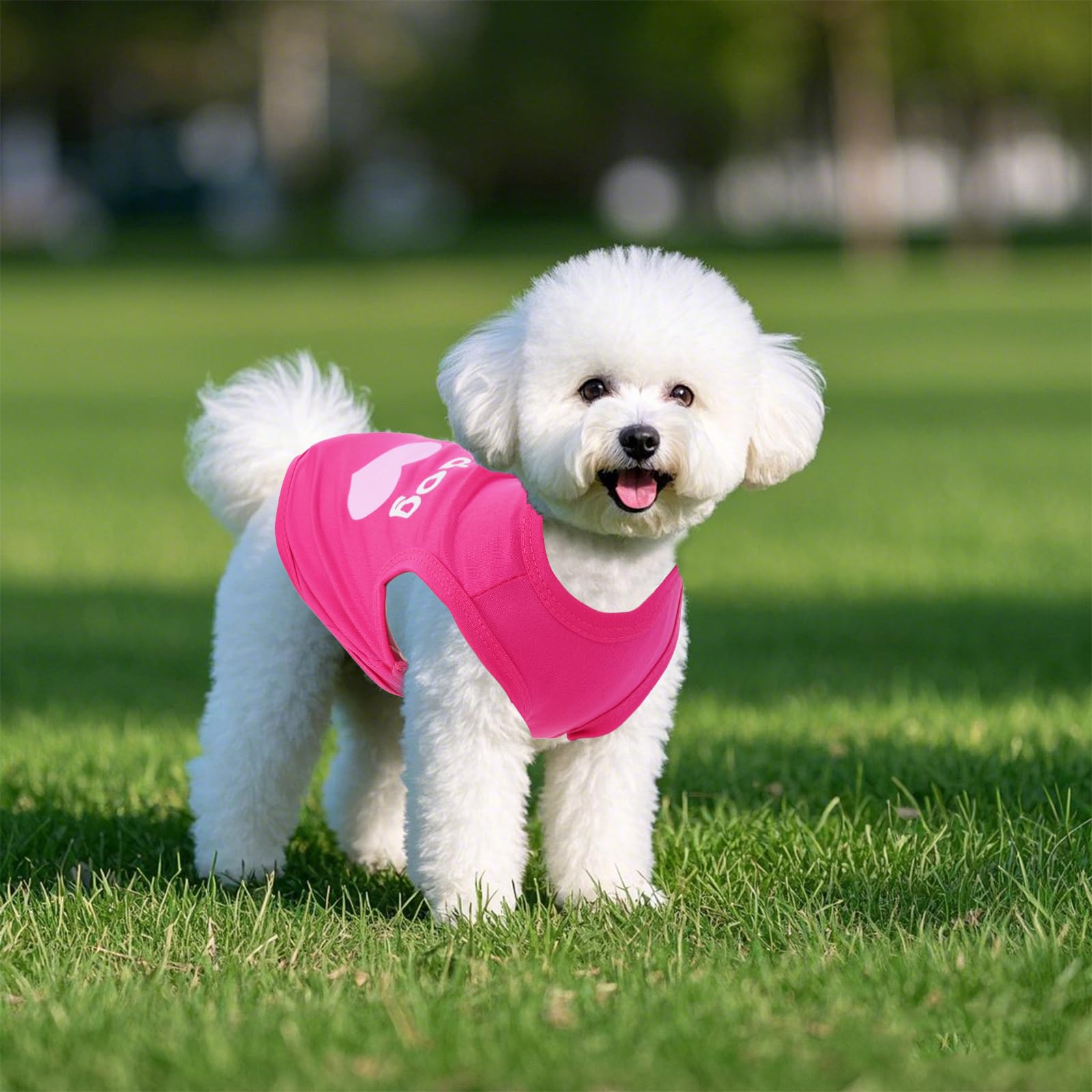 Pistha heart-design dog shirt on model showing cute style