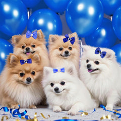 Pistha mesh pearl dog bows create cute, playful looks for outings