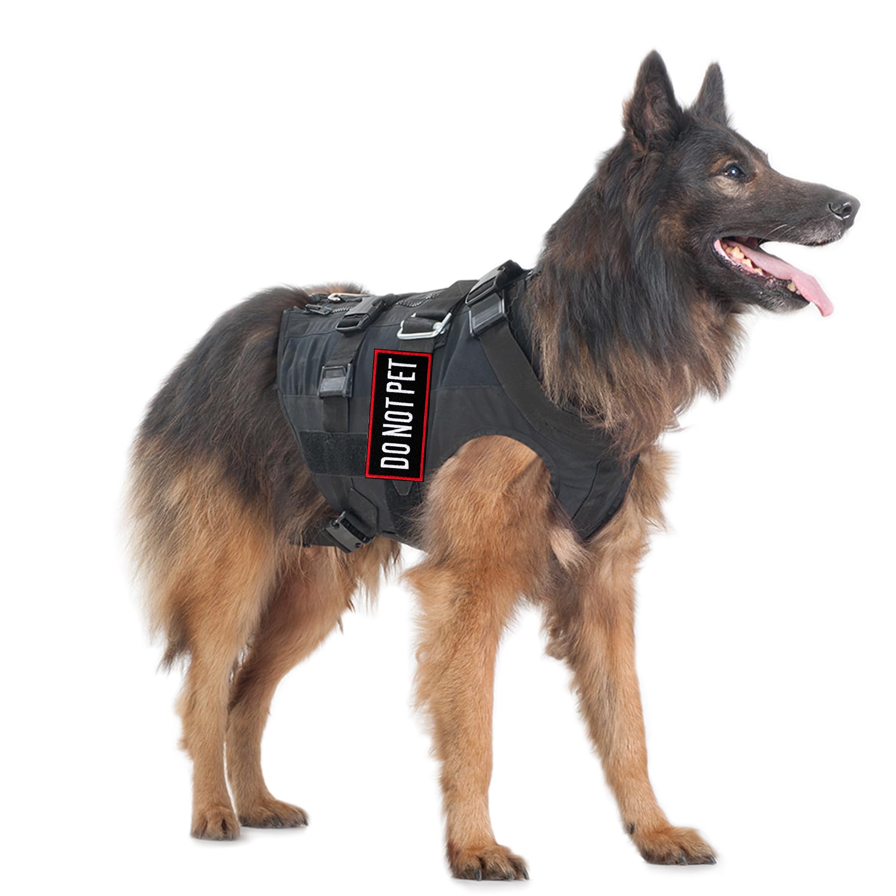 Pistha patches on harness demonstrate versatile use across gear.