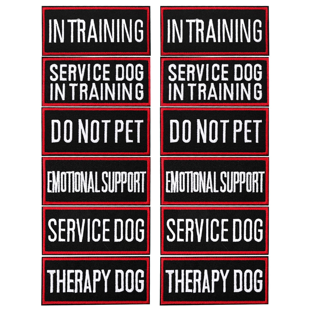 Pistha service dog patch on harness enhances visibility and identification.