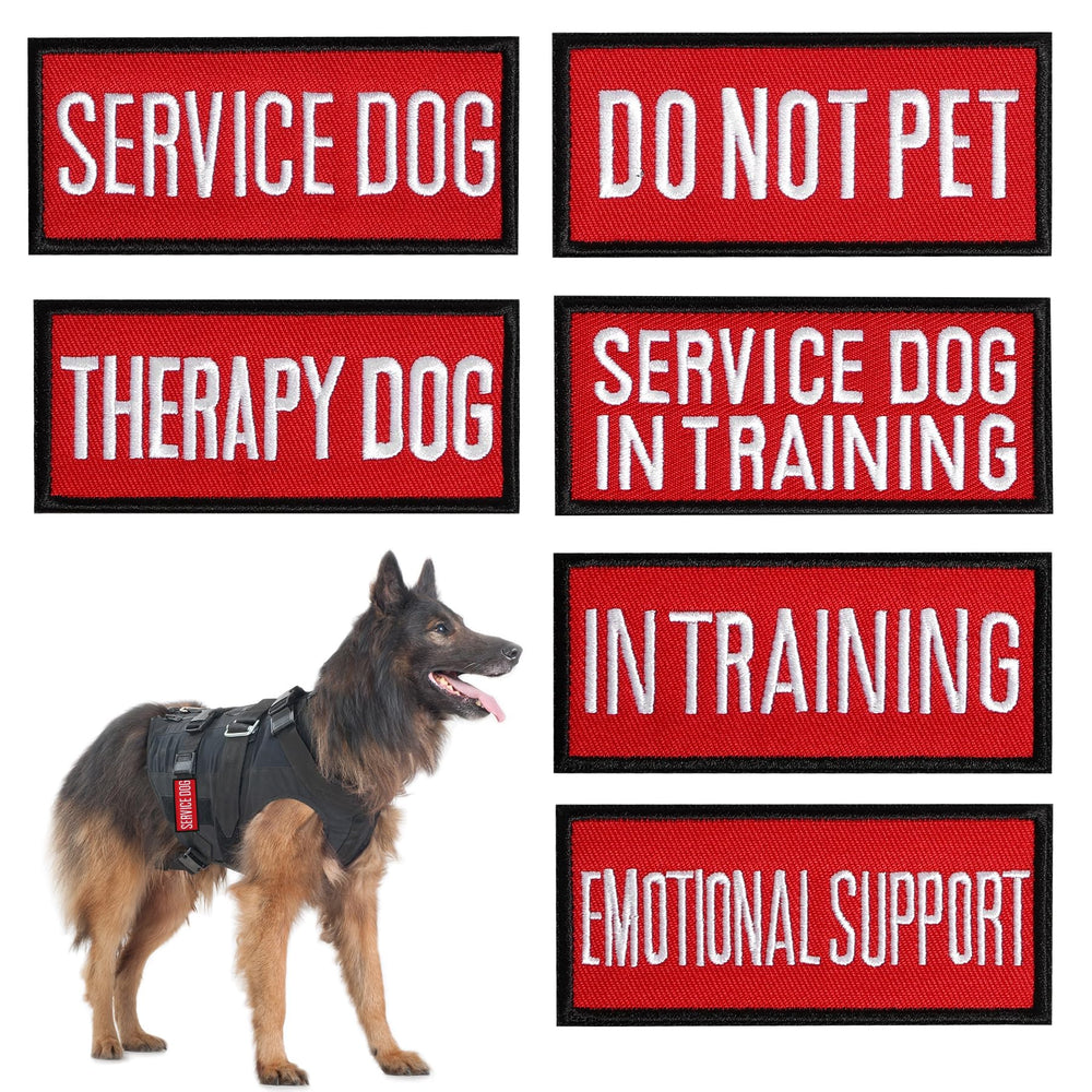 Pistha service dog text patches with bold embroidery for visibility.