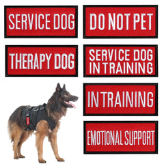 Pistha service dog text patches with bold embroidery for visibility.
