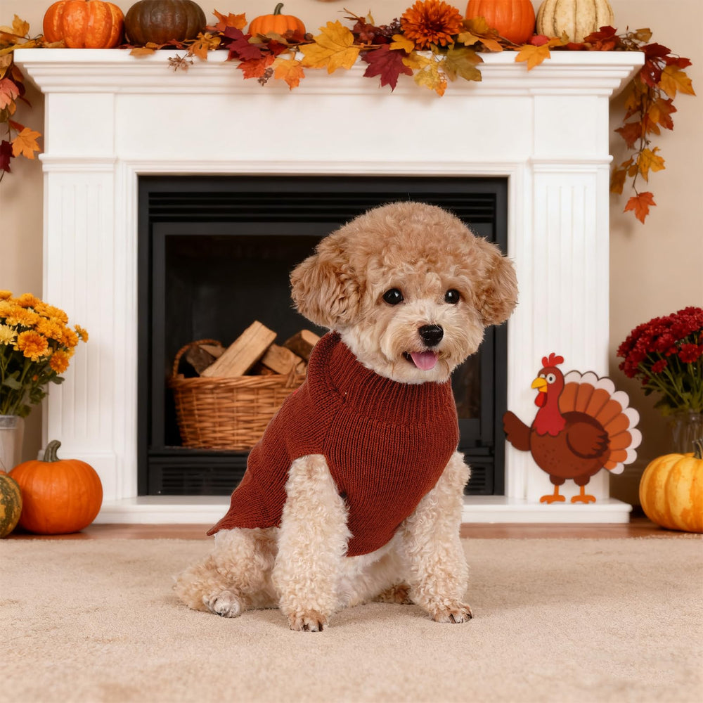 pistha gift-ready sweater for small pets