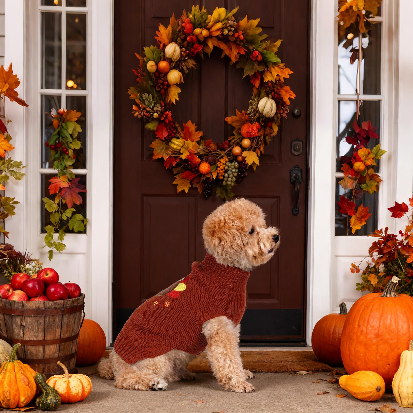 pistha holiday-occasion sweater for family photos