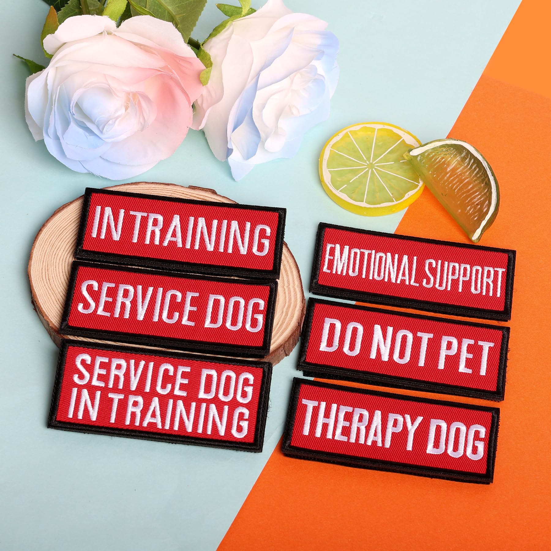 Pistha therapy dog patches for calm, labeled gear.